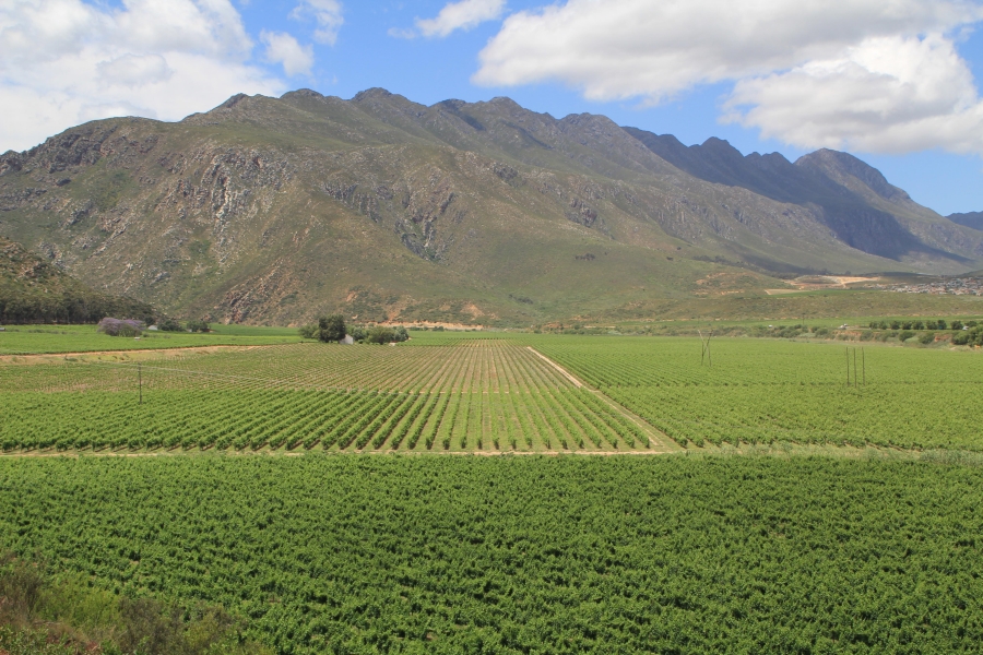 6 Bedroom Property for Sale in Ashton Western Cape